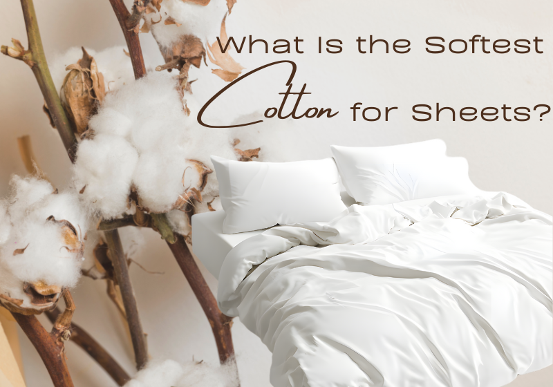 What Is the Softest Cotton for Sheets?